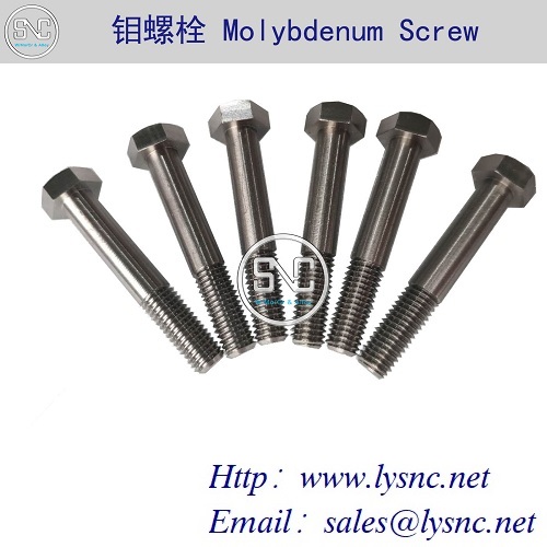 Molybdenum Screw